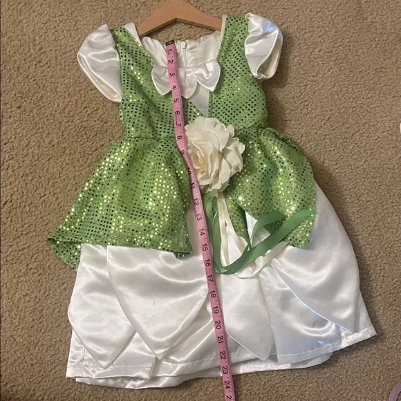 Home Sewn Princess Tiana Costume - Picture 5 of 7